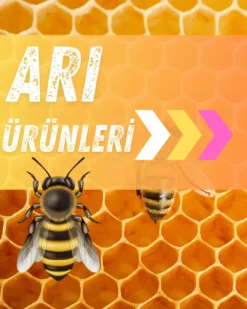 Arı Ürünleri