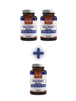 REİŞİ MANTARI (2 ALANA 1 HEDİYE)