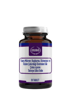 KARA MÜRVER, KUŞBURNU, EKİNEZYA VE ÜZÜM ÇEKİRDEĞİ EKSTRELERİ İLE ÇİNKO İÇEREN TAKVİYE EDİCİ GIDA
